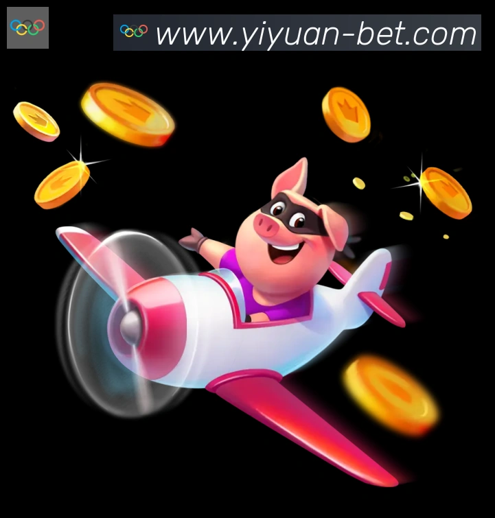 未来规划